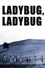 Watch Ladybug Ladybug Niter