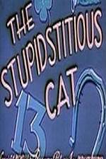 Watch Stupidstitious Cat Niter
