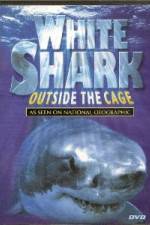 Watch National Geographic white shark:outside the cage Niter