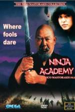 Watch Ninja Academy Niter