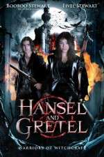 Watch Hansel & Gretel: Warriors of Witchcraft Niter