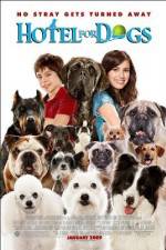 Watch Hotel for Dogs Niter