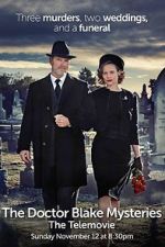 Watch The Doctor Blake Mysteries: Family Portrait Niter
