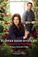 Watch Flower Shop Mystery: Snipped in the Bud Niter