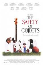Watch The Safety of Objects Niter