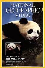 Watch Secrets of the Wild Panda Niter