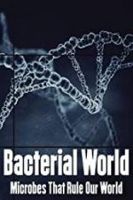 Watch Bacterial World Niter