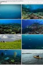 Watch National Geographic: Pacific Ocean Paradise Niter