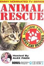 Watch Animal Rescue, Volume 2: Best Cat Rescues Niter
