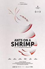 Watch Ants on a Shrimp Niter