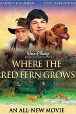 Watch Where the Red Fern Grows Niter