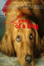 Watch For the Love of a Dog Niter