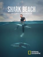 Watch Shark Beach with Chris Hemsworth (TV Special 2021) Niter