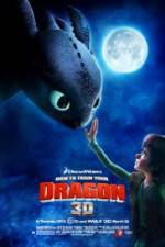 Watch How to Train Your Dragon Niter