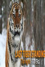 Watch Discovery Channel-Last Tiger Standing Niter