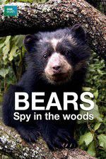 Watch Bears: Spy in the Woods Niter