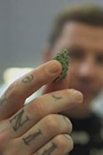 Watch Professor Green: Is It Time to Legalise Weed? Niter