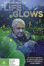 Watch Attenborough\'s Life That Glows Niter