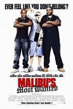 Watch Malibu's Most Wanted Niter