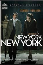 Watch New York New York Niter