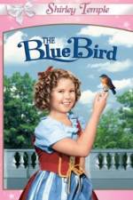 Watch The Blue Bird Niter
