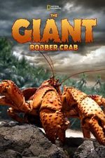 Watch The Giant Robber Crab Niter