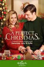Watch A Perfect Christmas Niter
