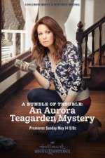 Watch A Bundle of Trouble: An Aurora Teagarden Mystery Niter