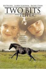 Watch Two Bits and Pepper Niter