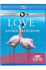 Watch Nature: Love in the Animal Kingdom Niter