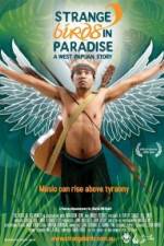Watch Strange Birds in Paradise A West Papuan Story Niter