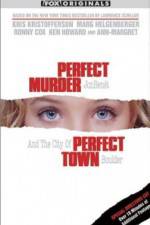 Watch Perfect Murder Perfect Town JonBenet and the City of Boulder Niter