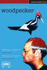 Watch Woodpecker Niter