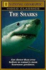 Watch National Geographic The Sharks Niter