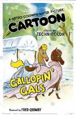 Watch Gallopin\' Gals Niter