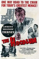 Watch The Hoodlum Niter