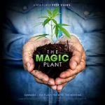Watch The Magic Plant Niter