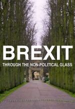 Watch Brexit Through the Non-Political Glass Niter
