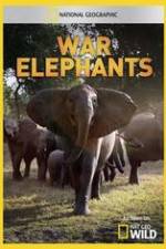 Watch War Elephants Niter