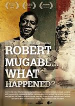 Watch Robert Mugabe... What Happened? Niter