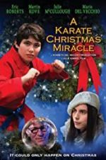Watch A Karate Christmas Miracle Niter