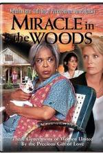 Watch Miracle in the Woods Niter
