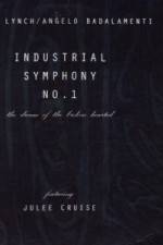 Watch Industrial Symphony No 1 The Dream of the Brokenhearted Niter