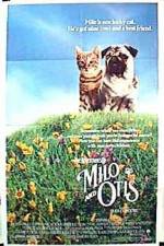 Watch Milo and Otis Niter