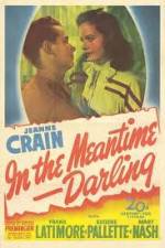 Watch In the Meantime Darling Niter