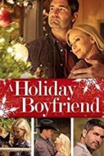 Watch A Holiday Boyfriend Niter