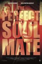 Watch The Perfect Soulmate Niter