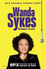 Watch Wanda Sykes: What Happened... Ms. Sykes? Niter