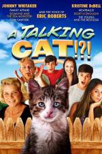 Watch A Talking Cat!?! Niter