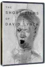 Watch The Short Films of David Lynch Niter